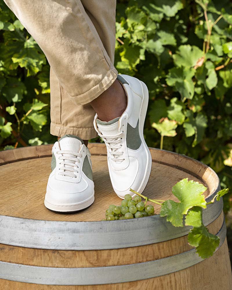 Cépage Chardonnay - Image 3