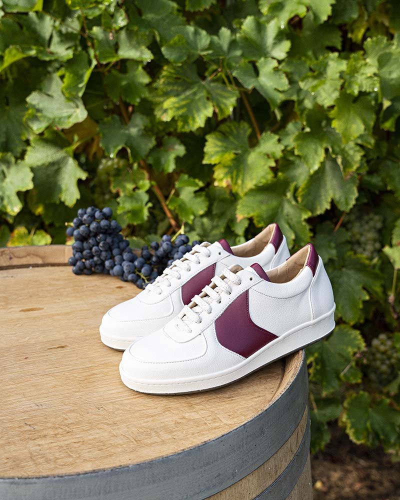 Cépage Merlot - Image 4