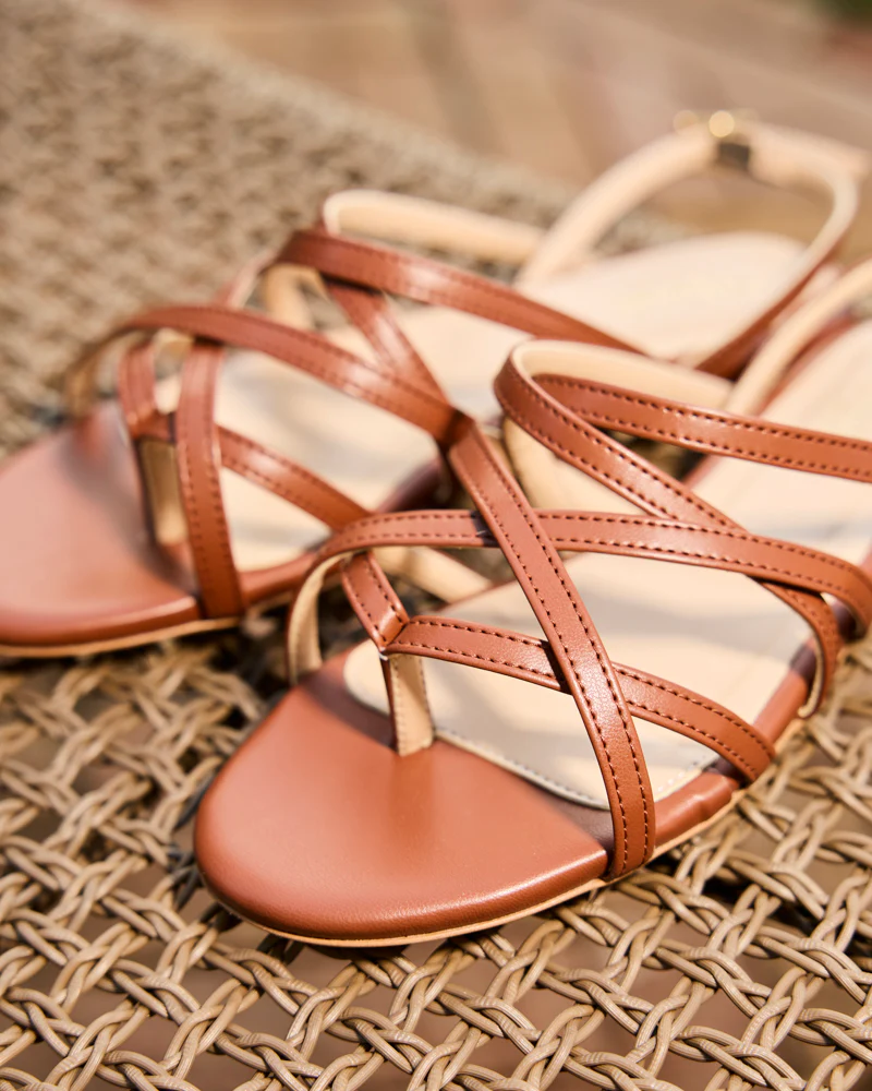 Vizzavona Camel - Image 2